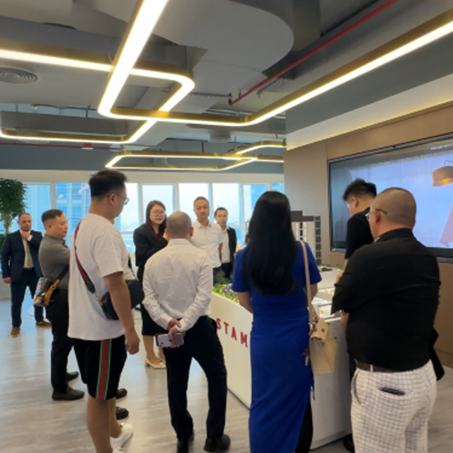 Domestic delegation visits STAMN DEVELOPMENT